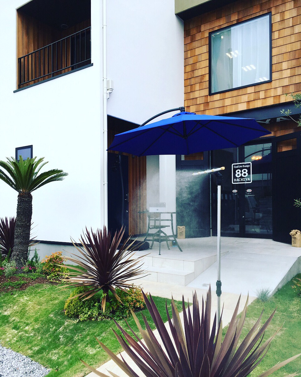 ついに梅雨入り！！