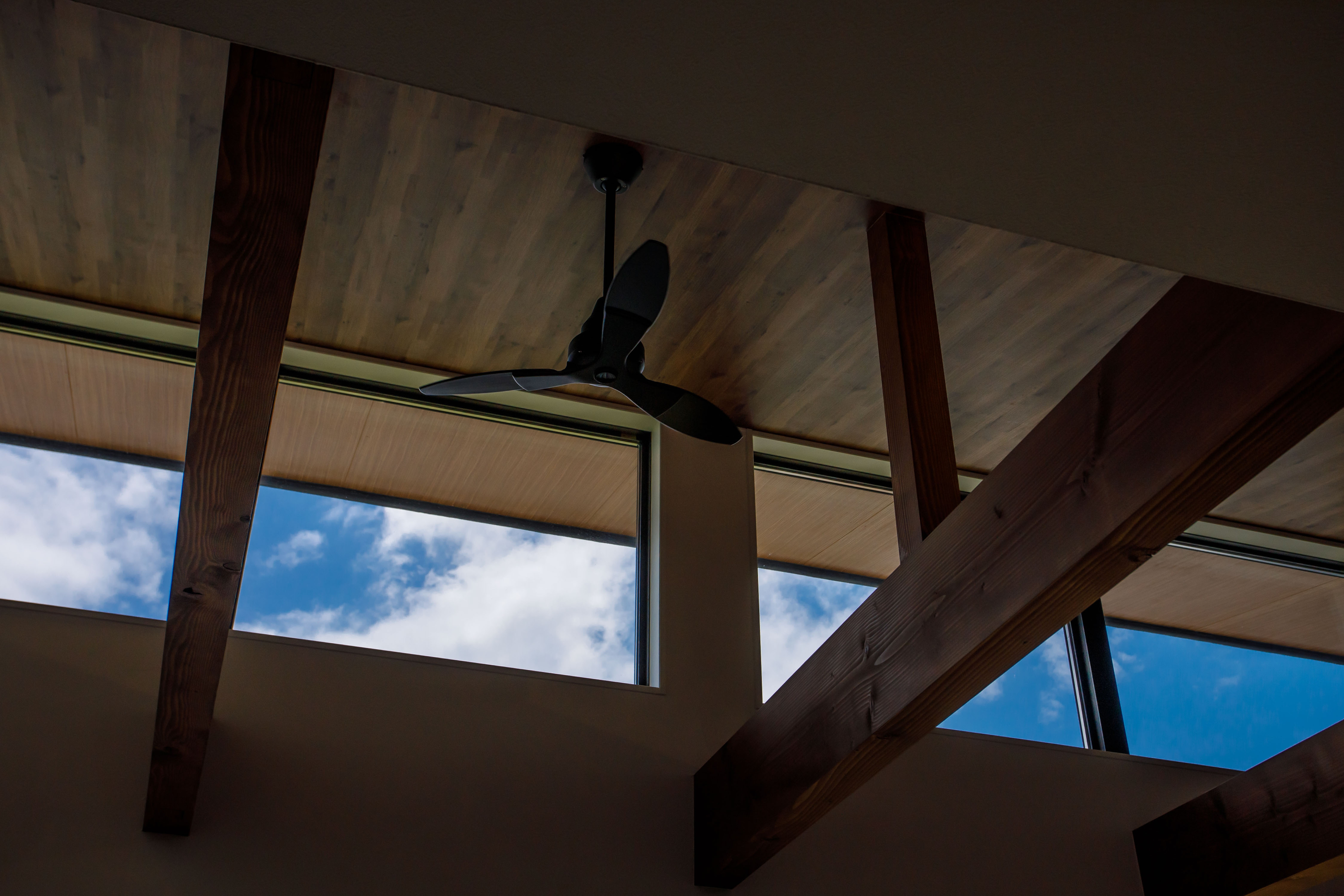 暮らしに寄り添う、豊かな光が注ぐ家。