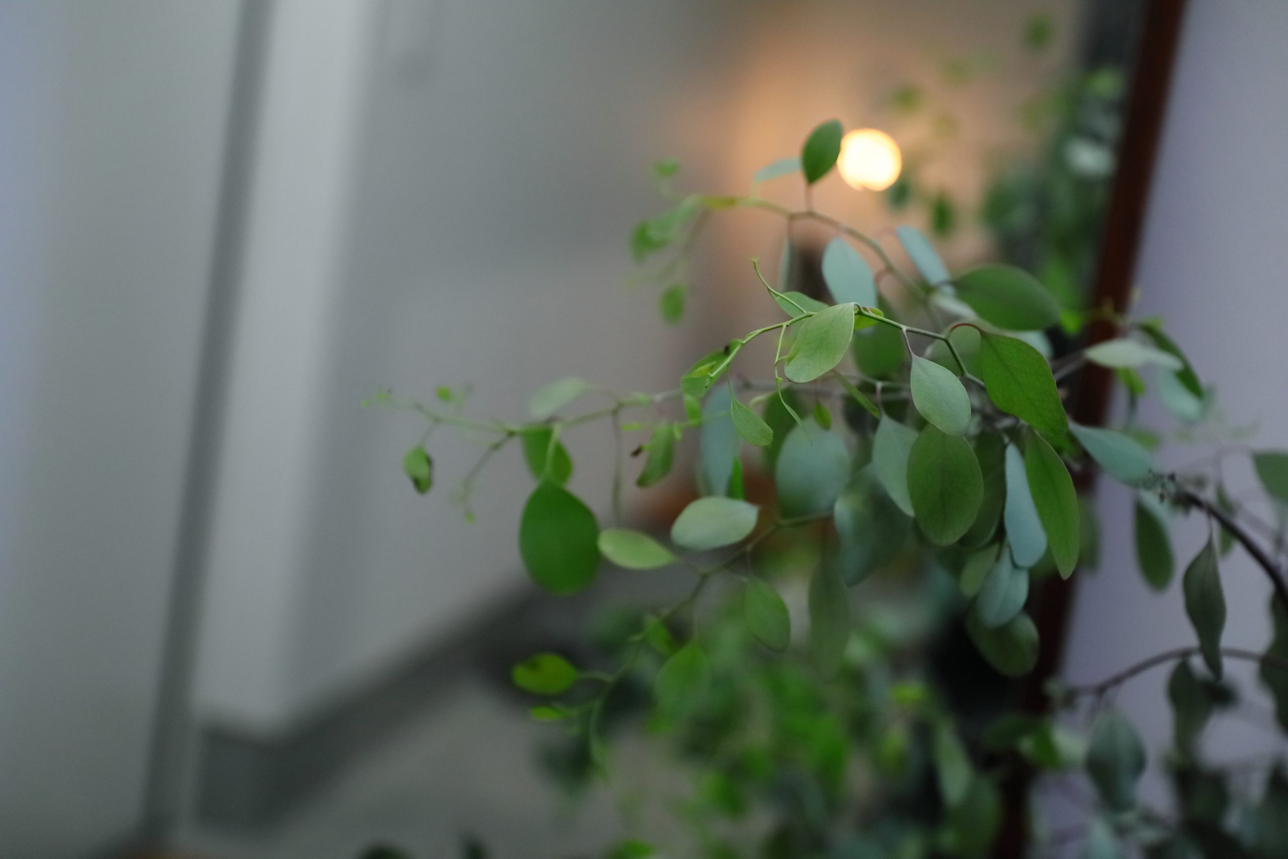 素材を感じる、モノトーンハウス。