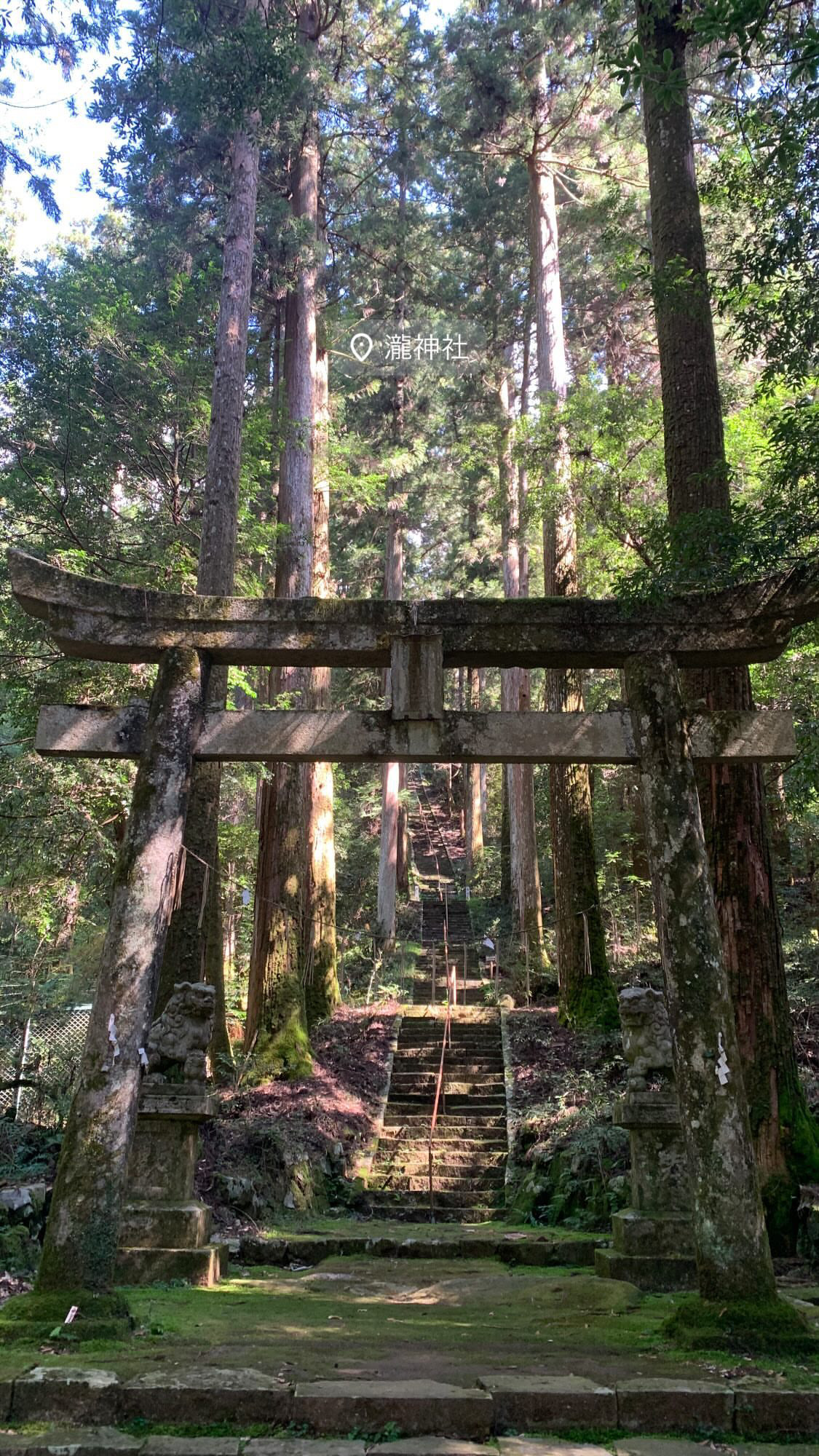 神社仏閣おすすめ3選⛩